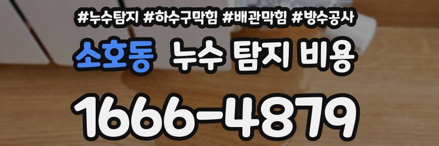 소호동 누수 탐지 비용