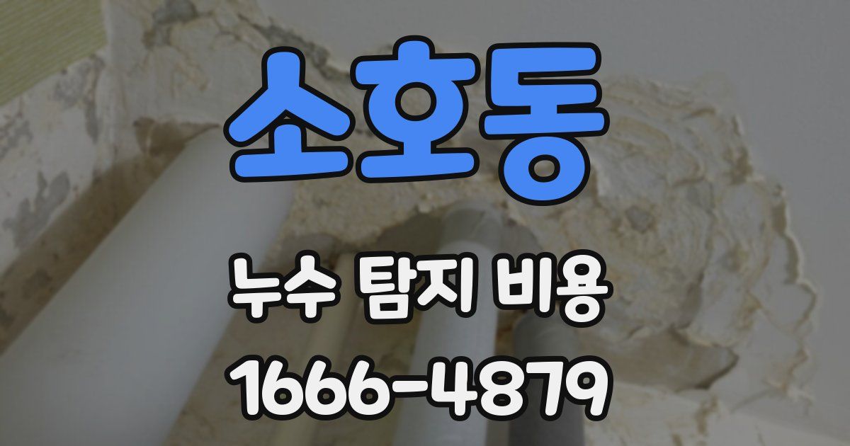 소호동 누수 탐지 비용