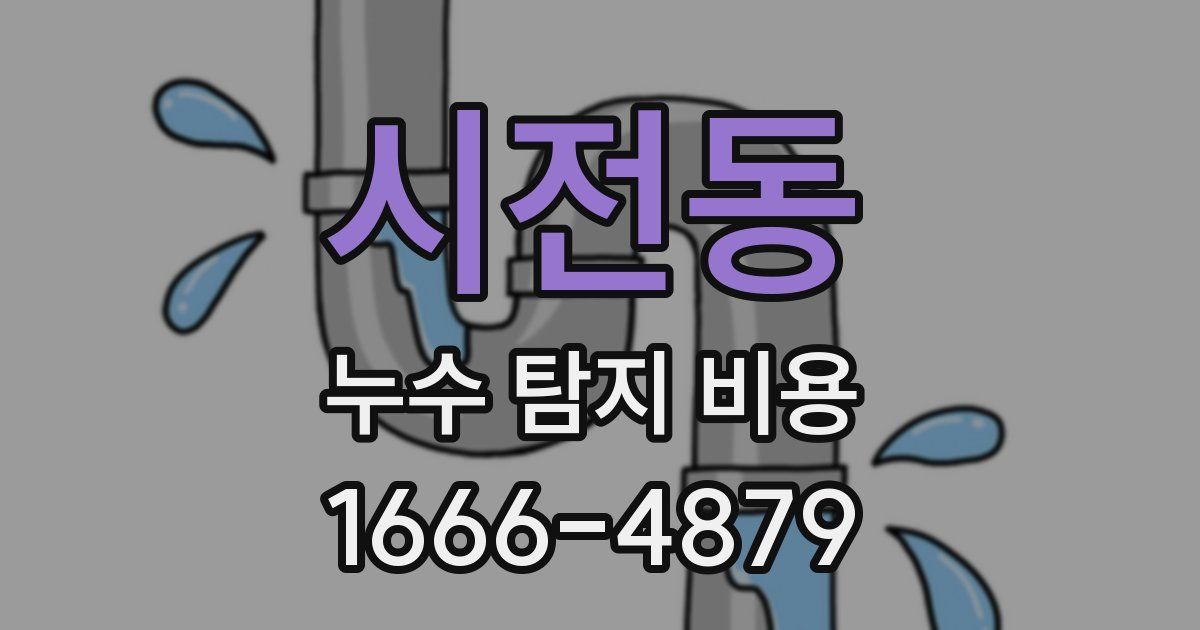 시전동 누수 탐지 비용