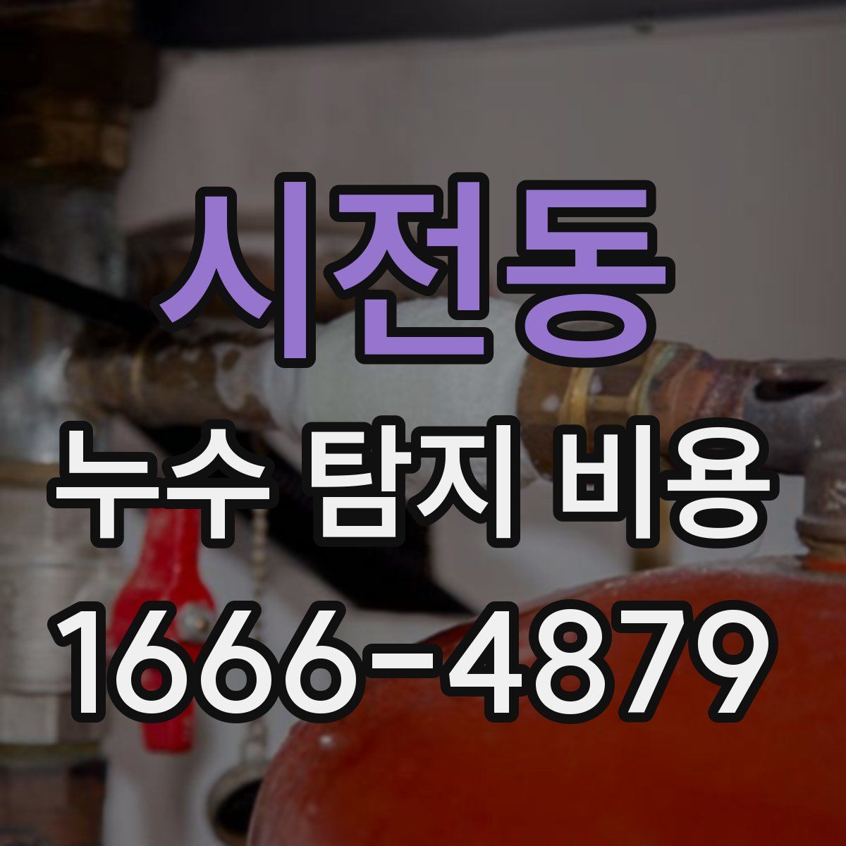 시전동 누수 탐지 비용
