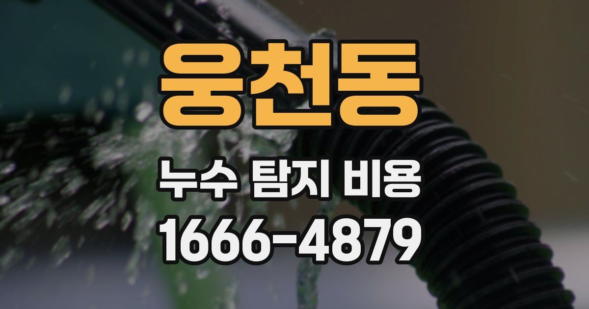 웅천동 누수 탐지 비용