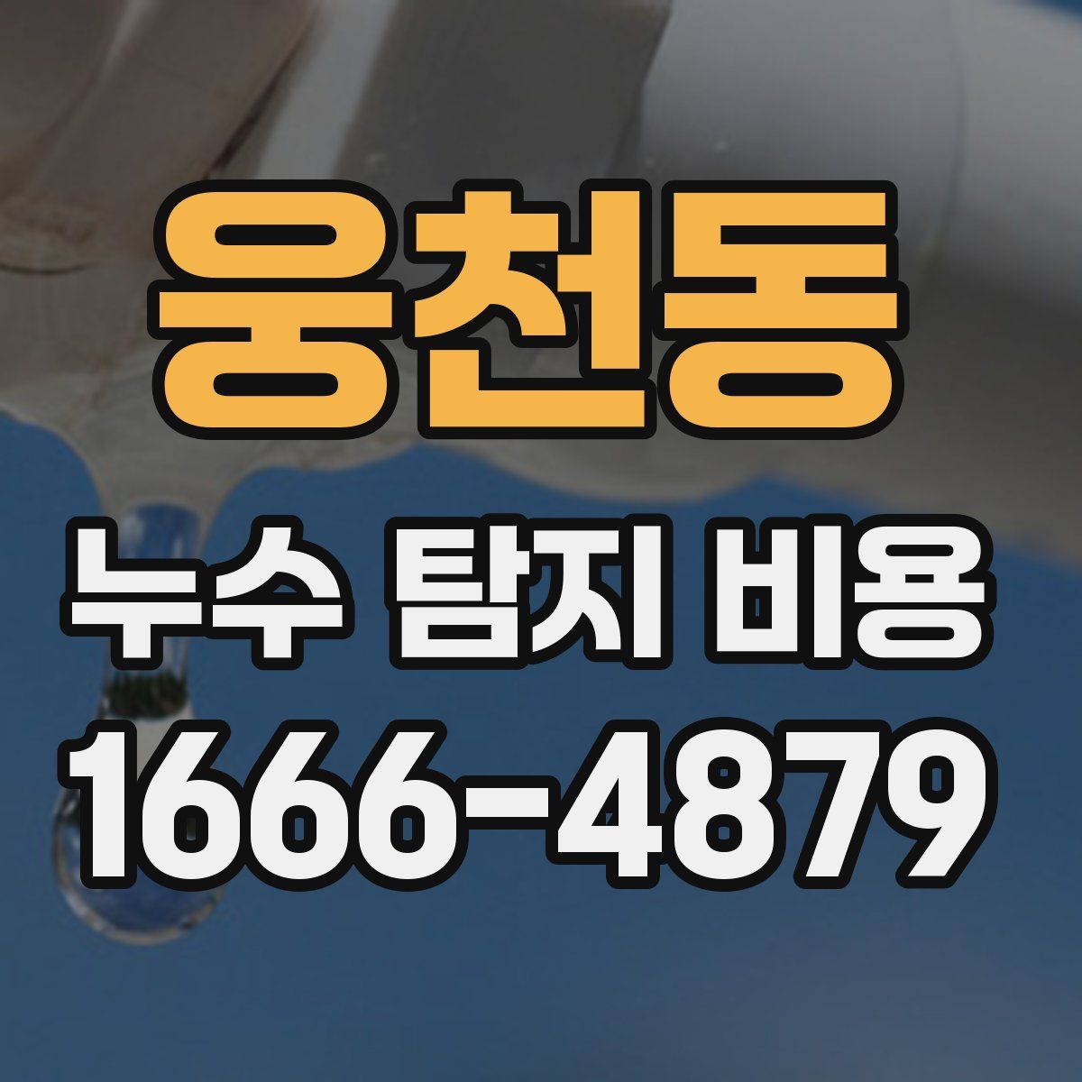 웅천동 누수 탐지 비용