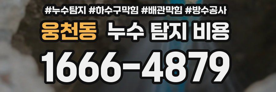 웅천동 누수 탐지 비용