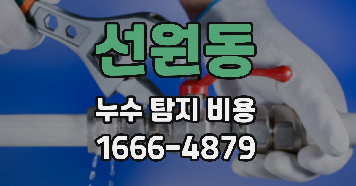 선원동 누수 탐지 비용