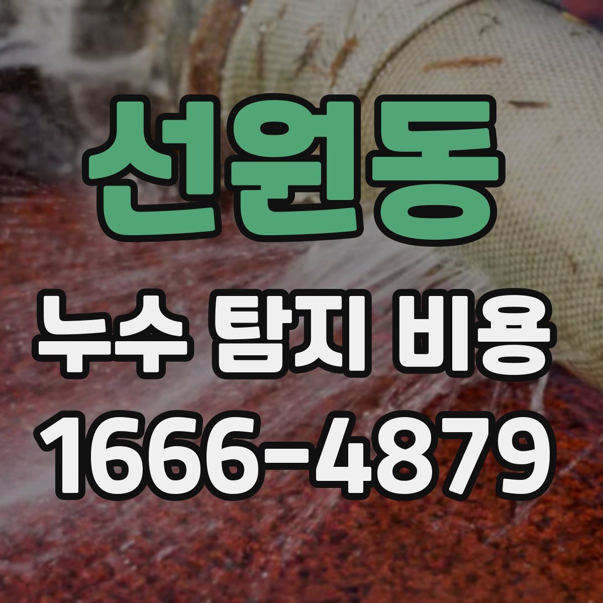 선원동 누수 탐지 비용