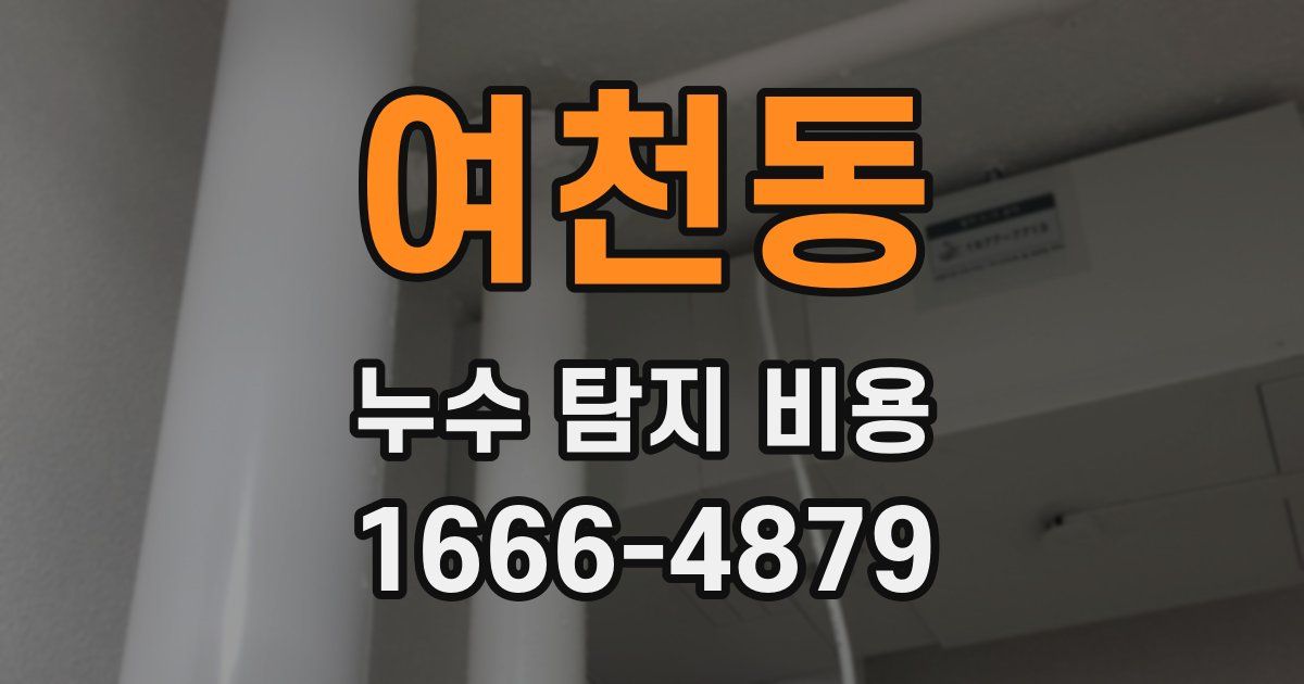 여천동 누수 탐지 비용