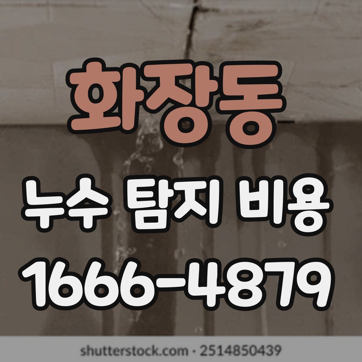 화장동 누수 탐지 비용