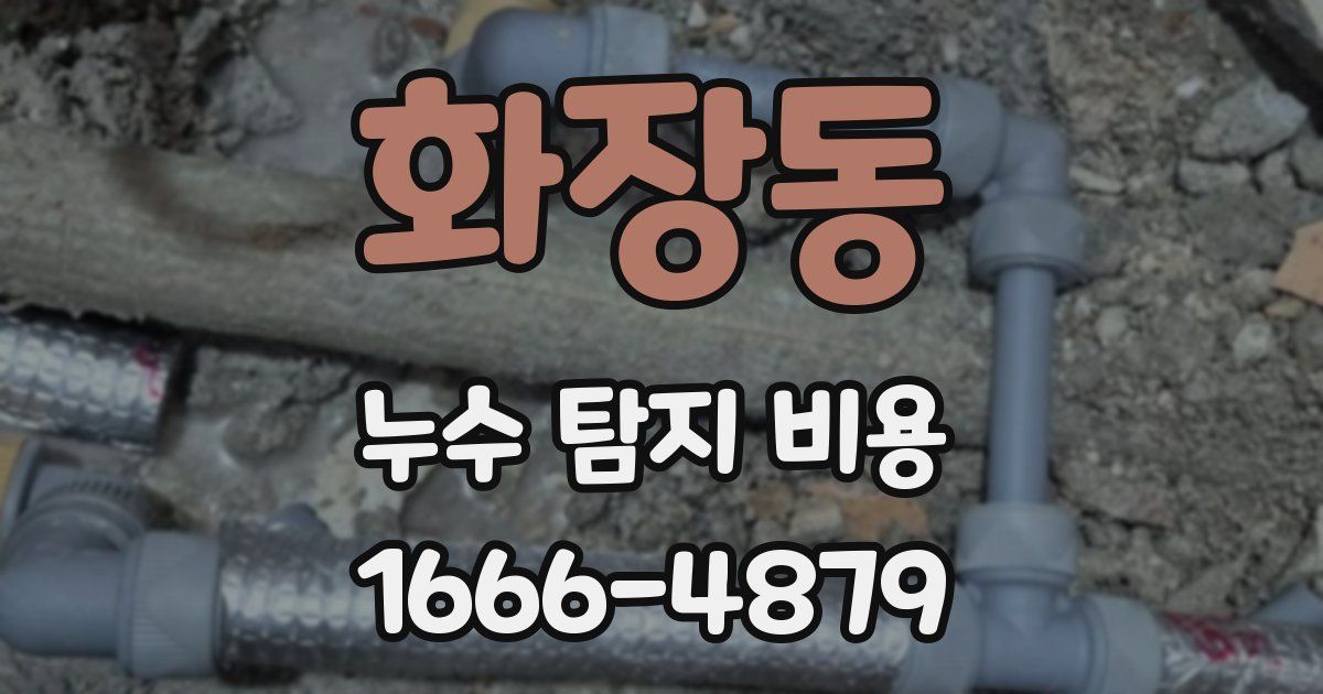 화장동 누수 탐지 비용