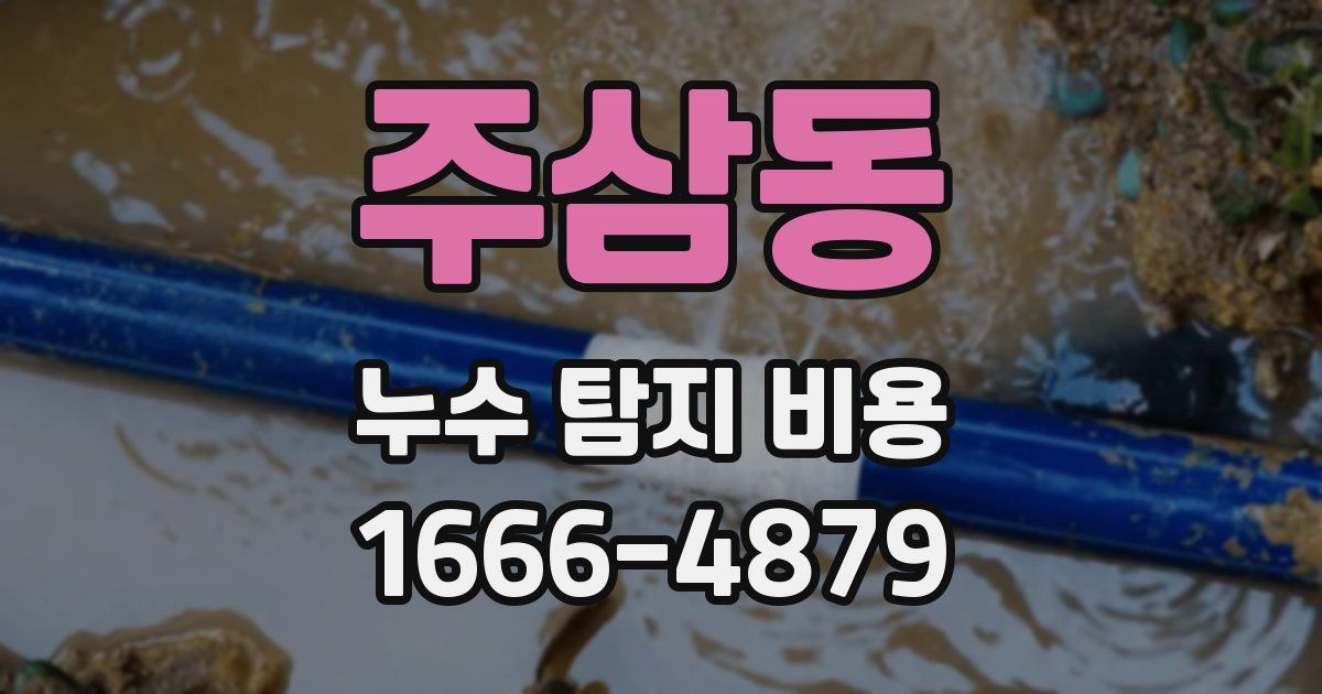 주삼동 누수 탐지 비용