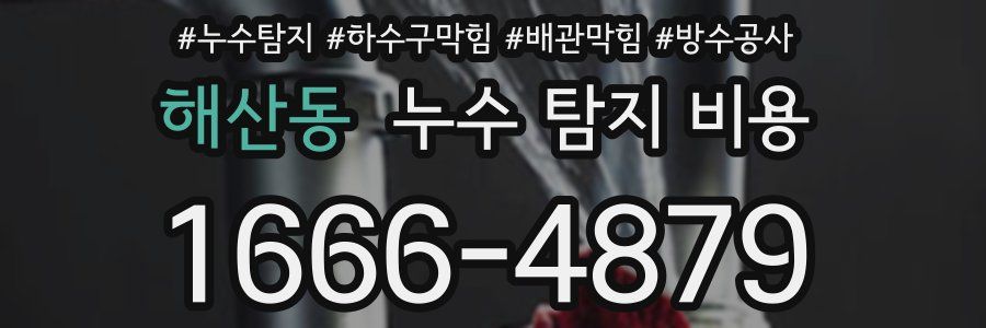 해산동 누수 탐지 비용