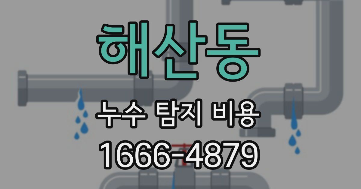 해산동 누수 탐지 비용