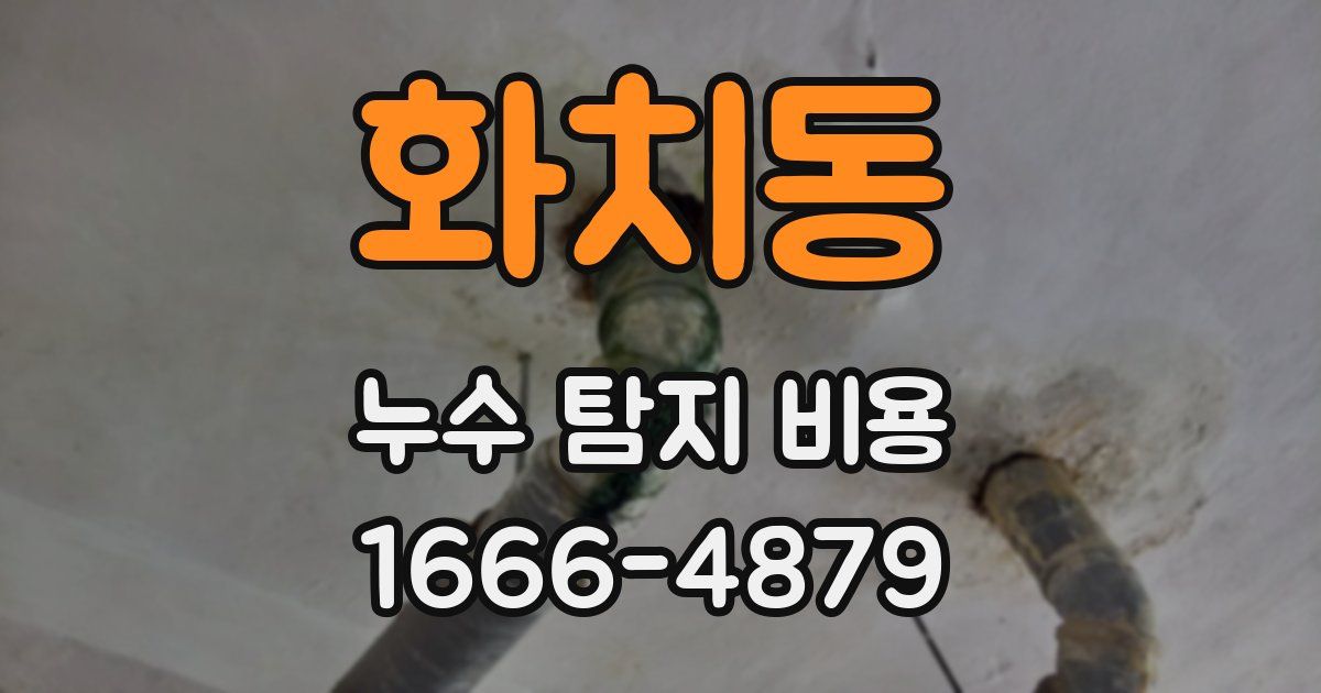 화치동 누수 탐지 비용
