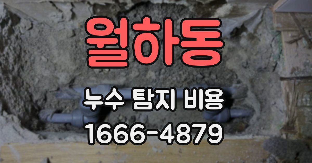 월하동 누수 탐지 비용
