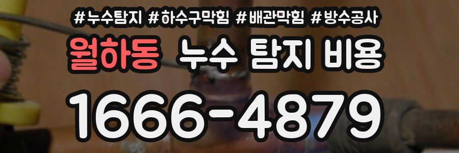 월하동 누수 탐지 비용