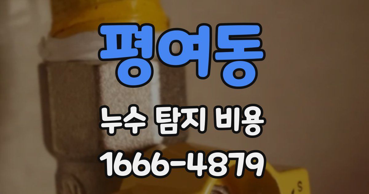 평여동 누수 탐지 비용