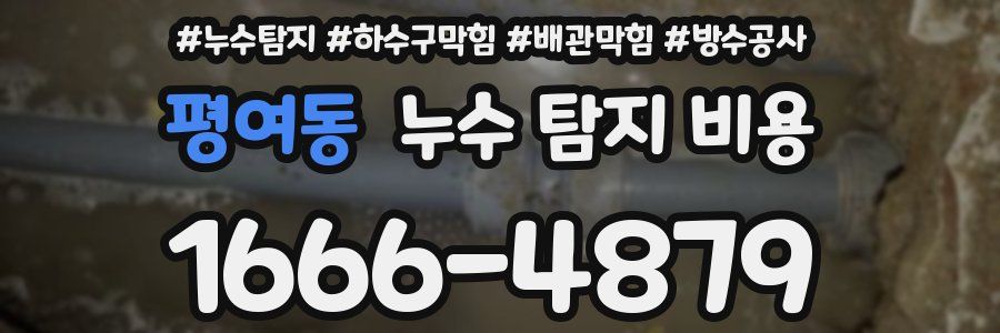 평여동 누수 탐지 비용