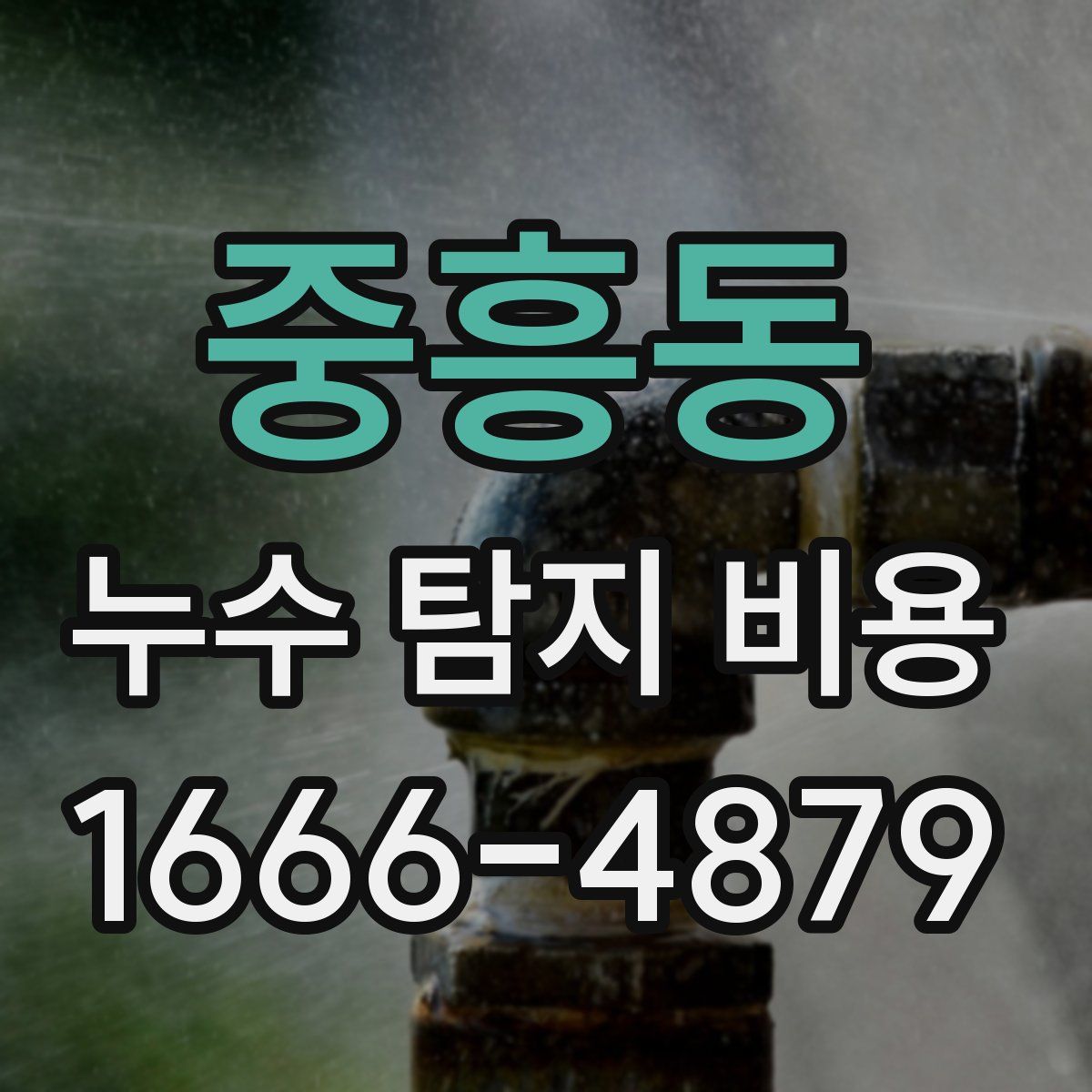 중흥동 누수 탐지 비용