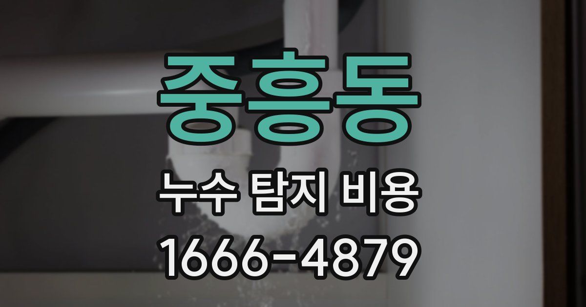 중흥동 누수 탐지 비용