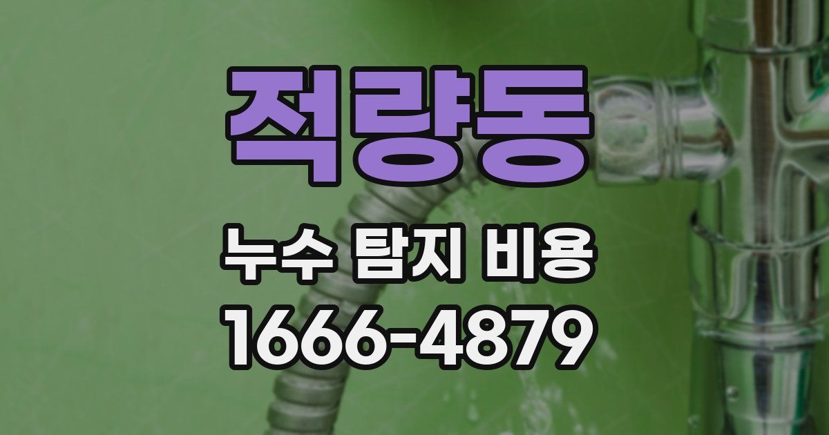 적량동 누수 탐지 비용