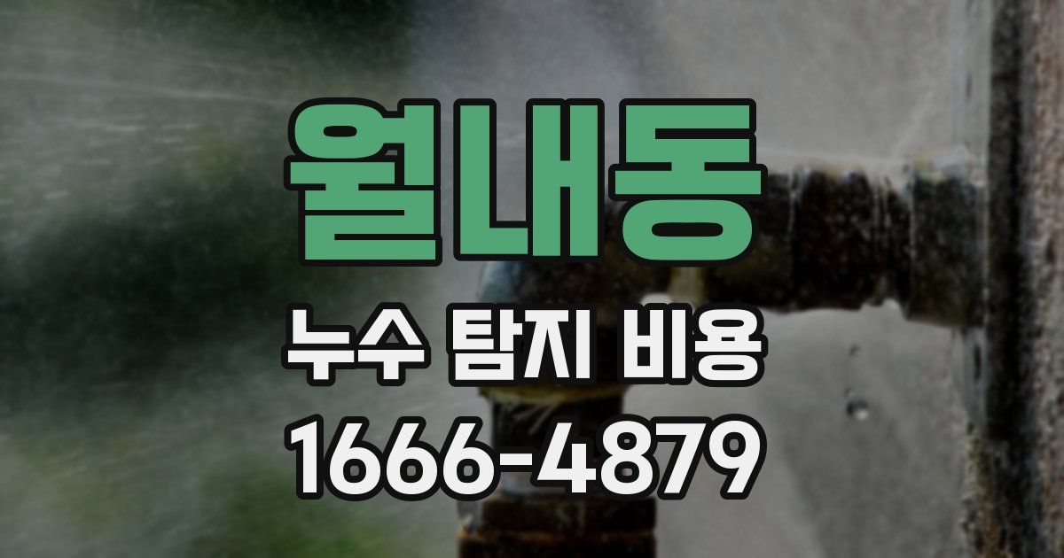 월내동 누수 탐지 비용