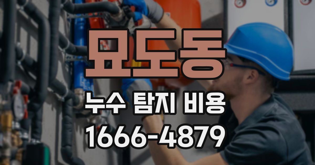 묘도동 누수 탐지 비용