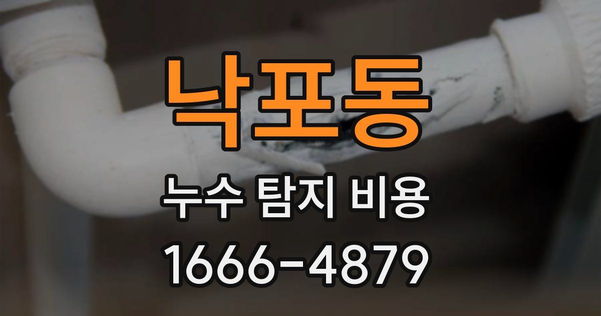 낙포동 누수 탐지 비용