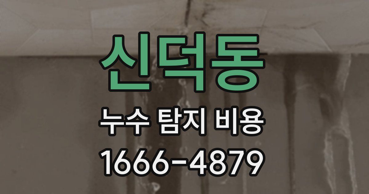 신덕동 누수 탐지 비용