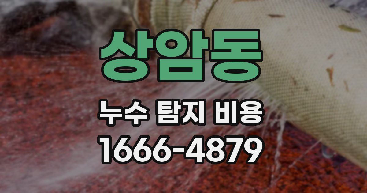상암동 누수 탐지 비용