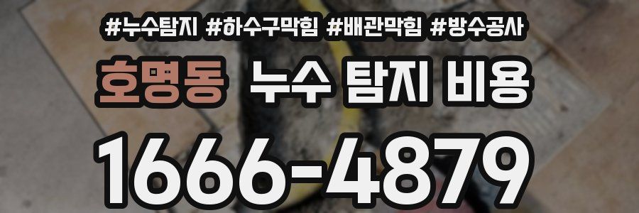 호명동 누수 탐지 비용