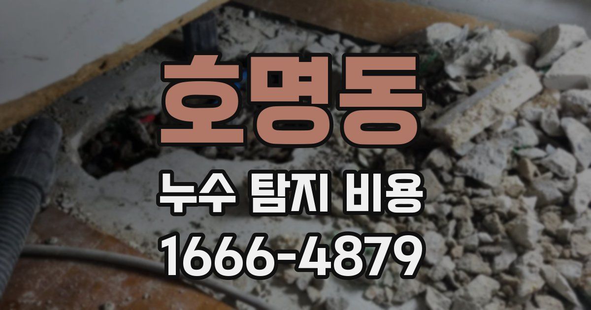 호명동 누수 탐지 비용