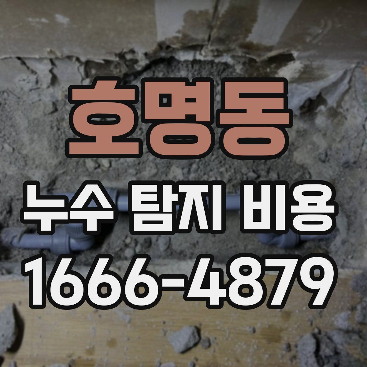 호명동 누수 탐지 비용