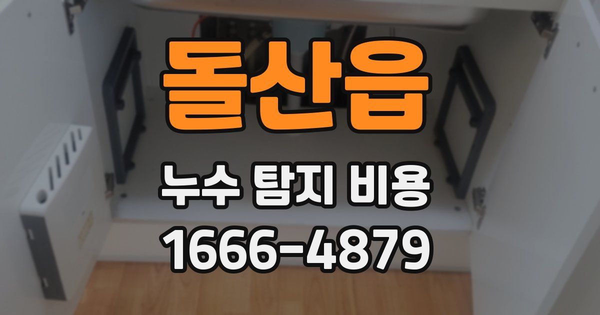 돌산읍 누수 탐지 비용