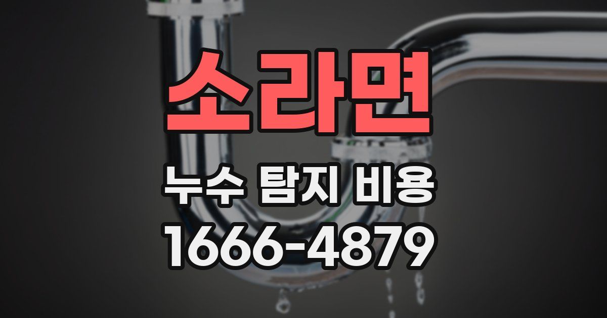 소라면 누수 탐지 비용