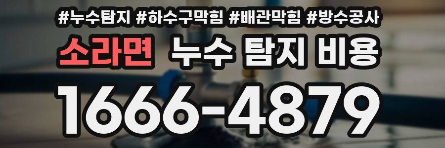 소라면 누수 탐지 비용