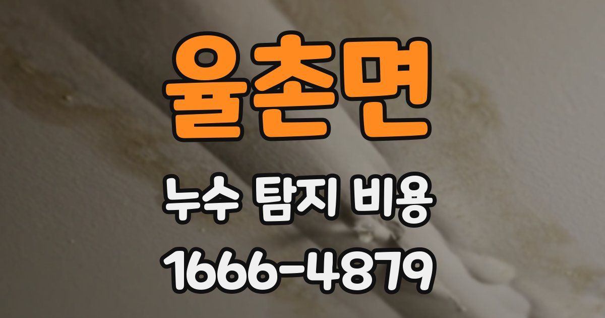 율촌면 누수 탐지 비용