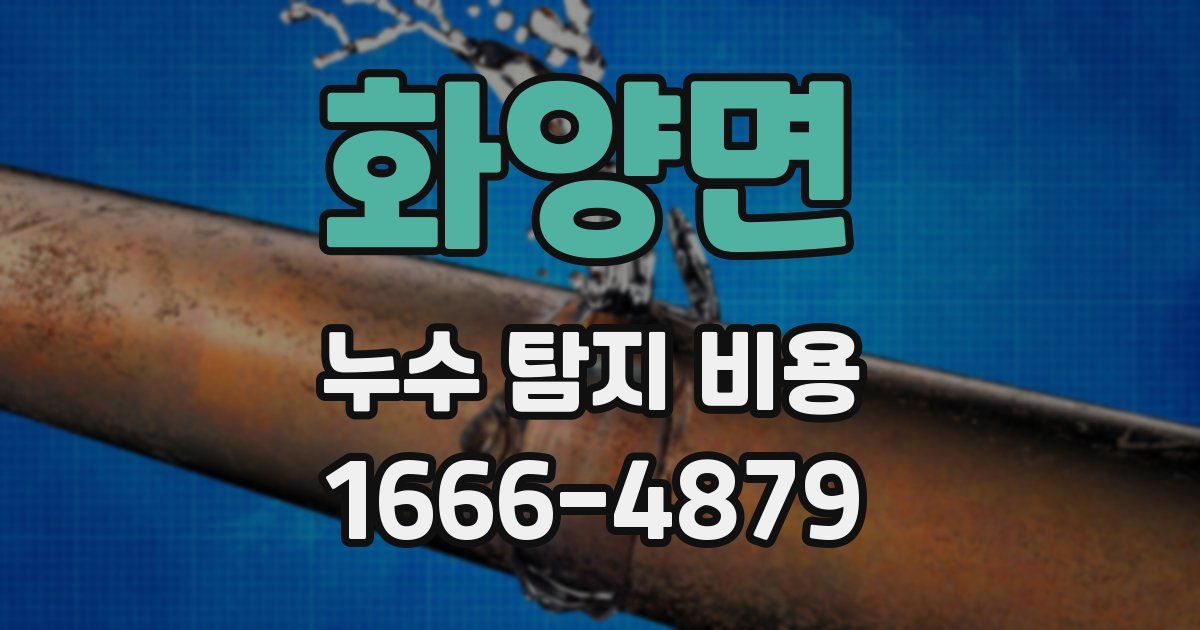 화양면 누수 탐지 비용