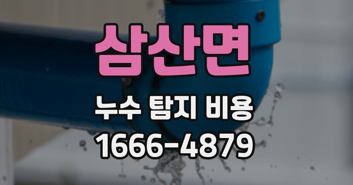 삼산면 누수 탐지 비용