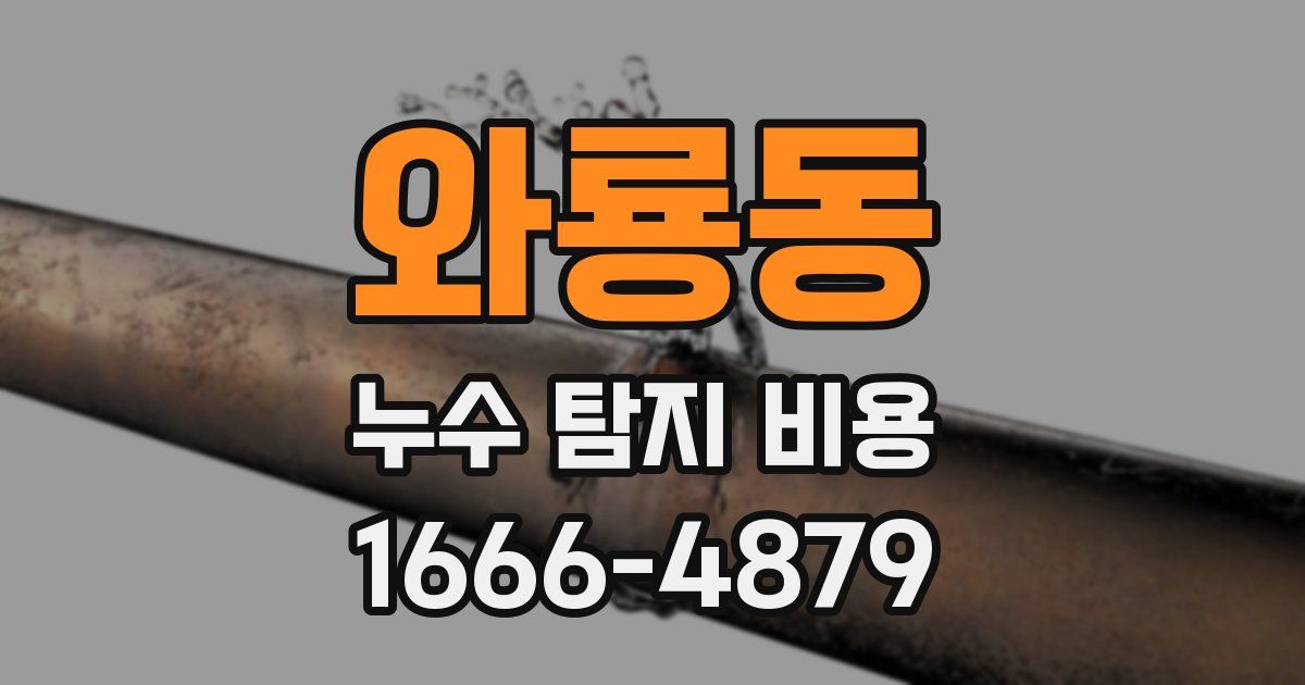 와룡동 누수 탐지 비용