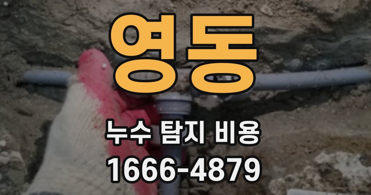영동 누수 탐지 비용