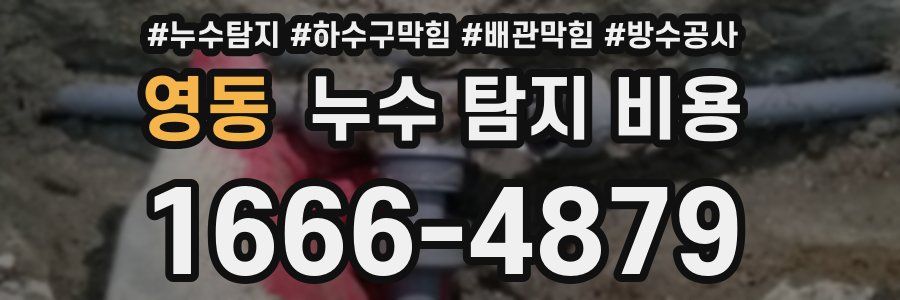 영동 누수 탐지 비용