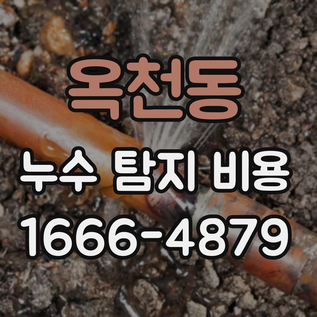 옥천동 누수 탐지 비용