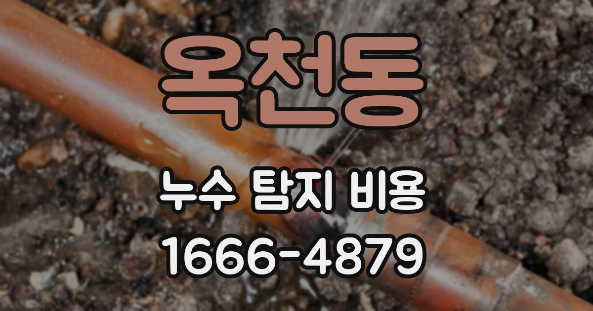 옥천동 누수 탐지 비용