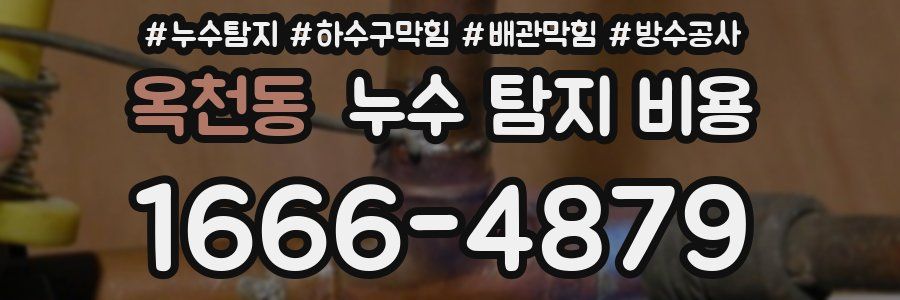 옥천동 누수 탐지 비용