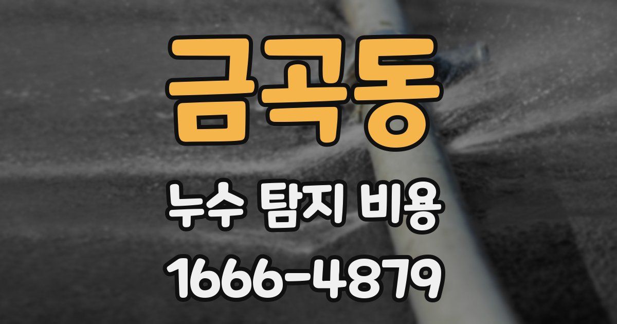 금곡동 누수 탐지 비용