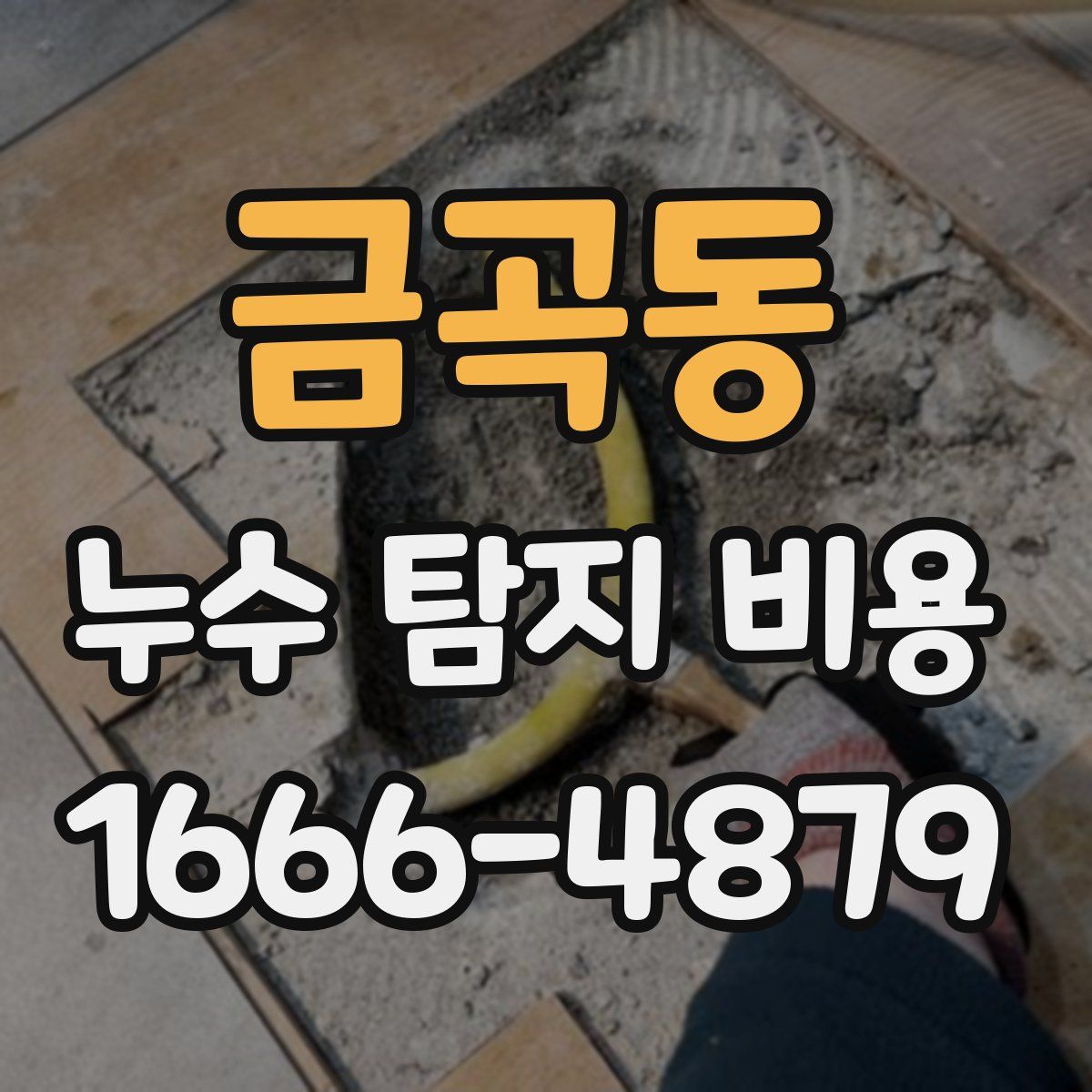 금곡동 누수 탐지 비용
