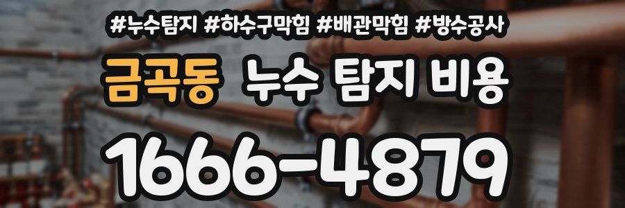 금곡동 누수 탐지 비용