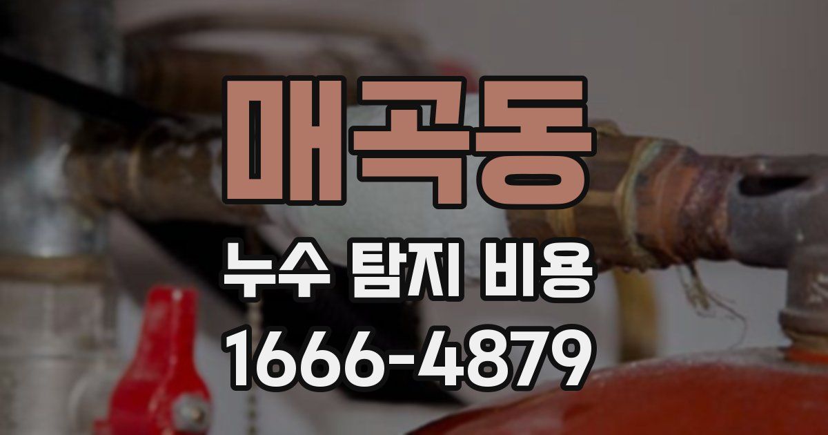 매곡동 누수 탐지 비용