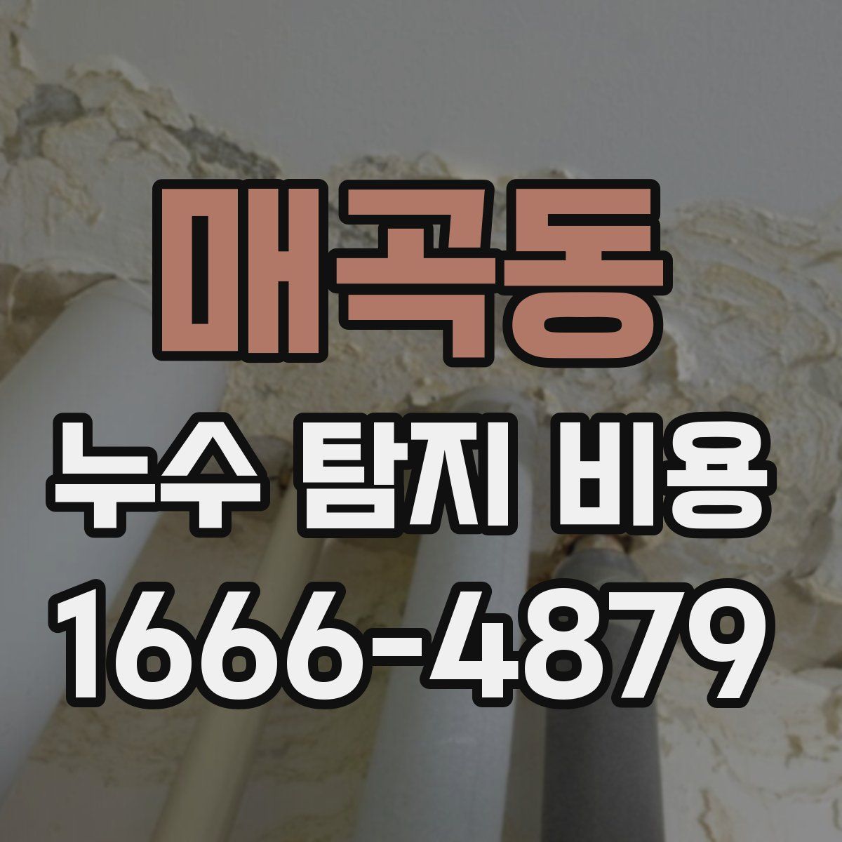 매곡동 누수 탐지 비용