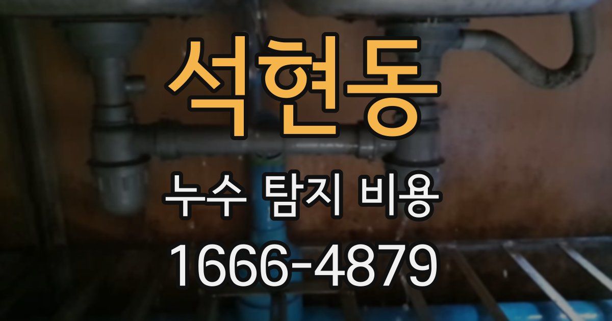 석현동 누수 탐지 비용
