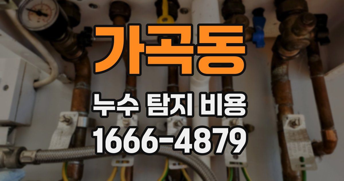 가곡동 누수 탐지 비용